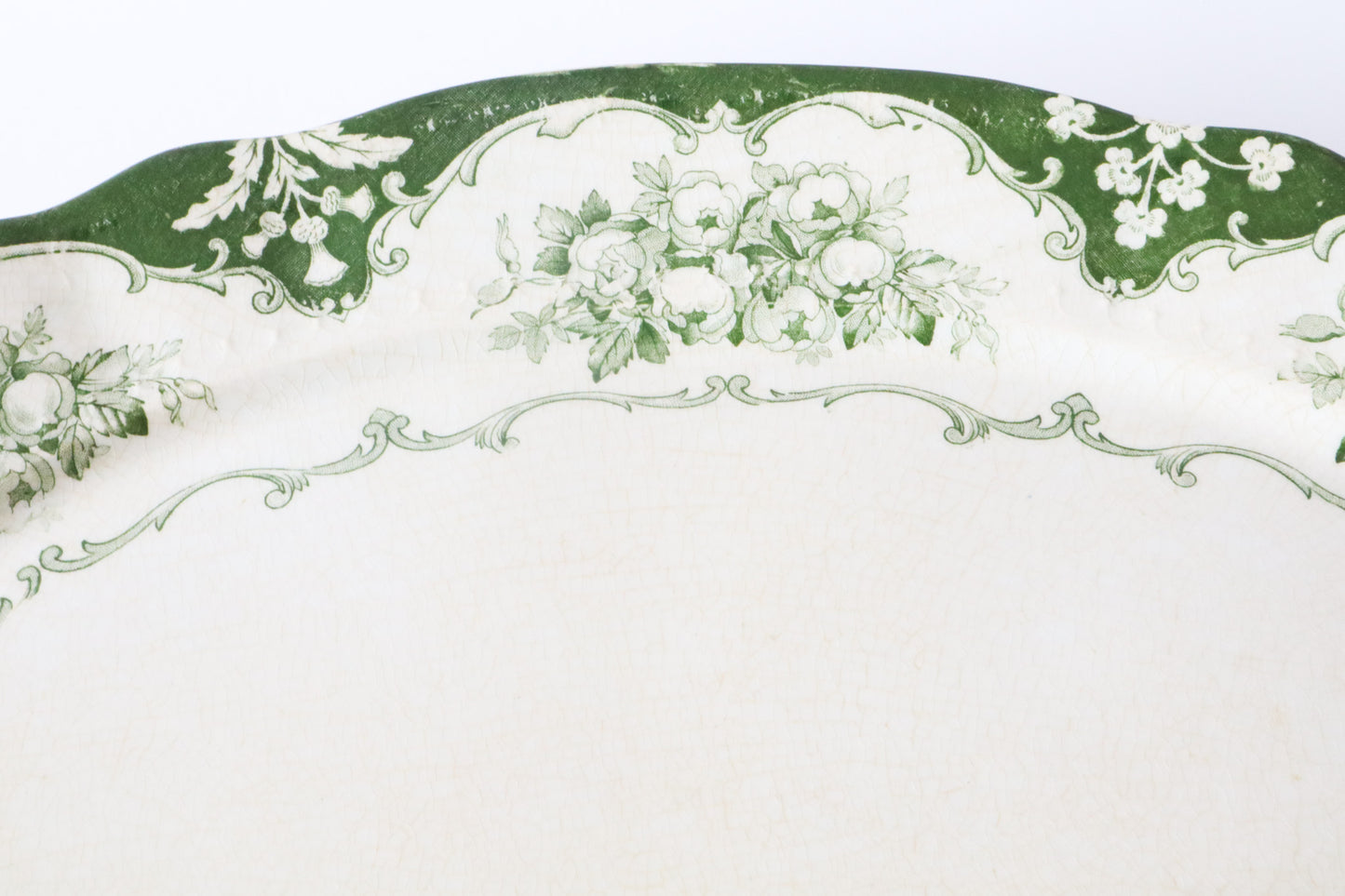 Schaal Sierlijk Groen