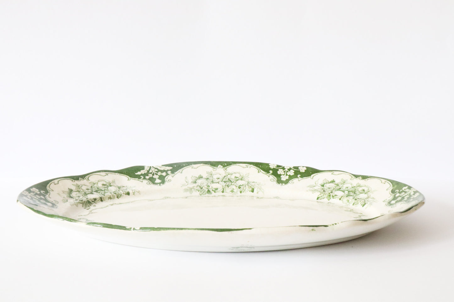 Schaal Sierlijk Groen