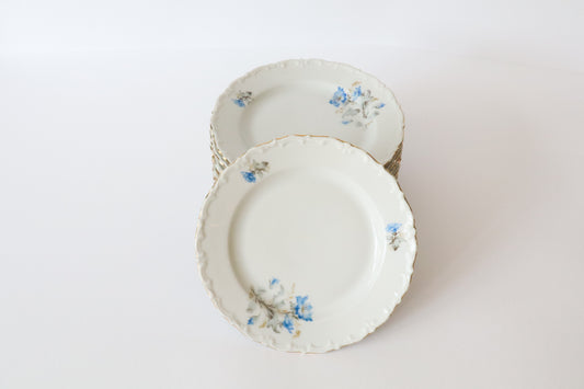 Gebaksbordjes Bloemen 9st